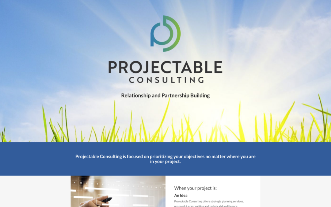 Projectable Consulting